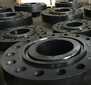 Blind Carbon Steel Forged Steel Flange for Pipeline Isolation Blind Carbon Steel Forged Steel Flange for Pipeline Isolation