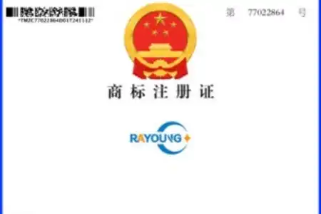 Hebei RAYOUNG Pipeline Technology Co., Ltd. Secures Registered Trademark Certificate: A Milestone in Brand Excellence